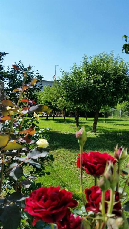 Apartment Cecilia Копривниця Номер фото