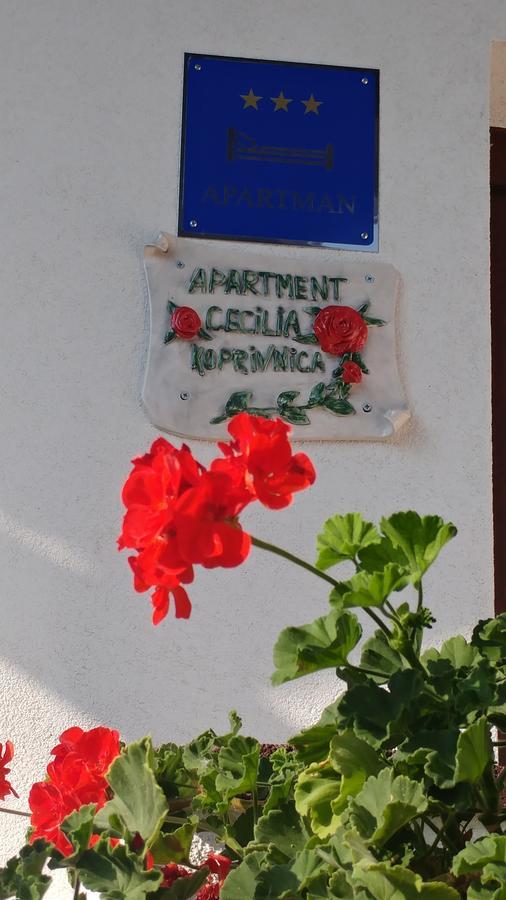 Apartment Cecilia Копривниця Екстер'єр фото